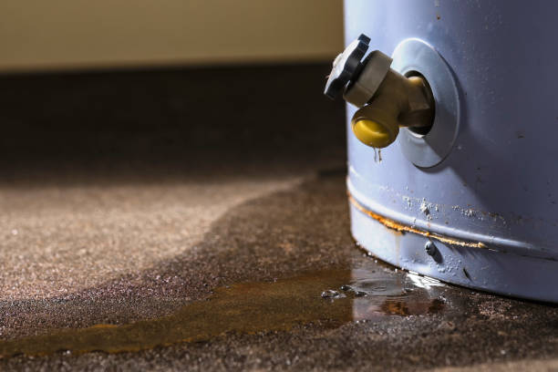 Best Flooded house restoration  in Appleton, WI