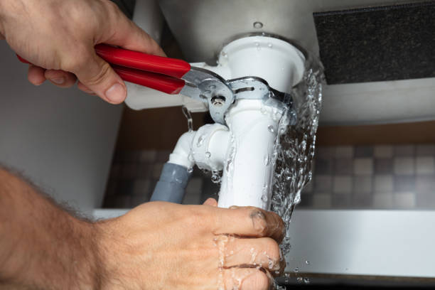 Best Flooded house restoration  in Appleton, WI