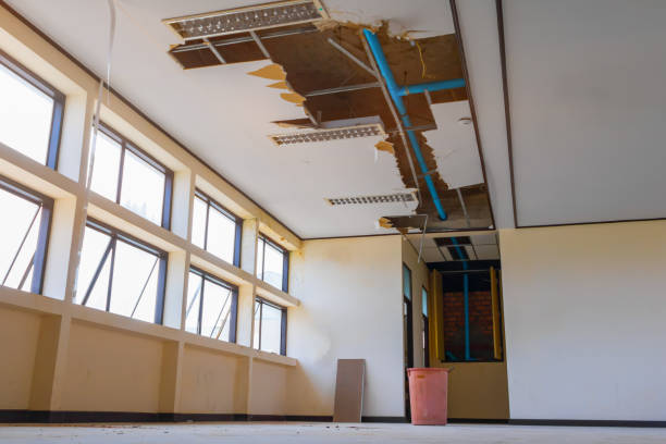 Best Flood restoration services  in Appleton, WI
