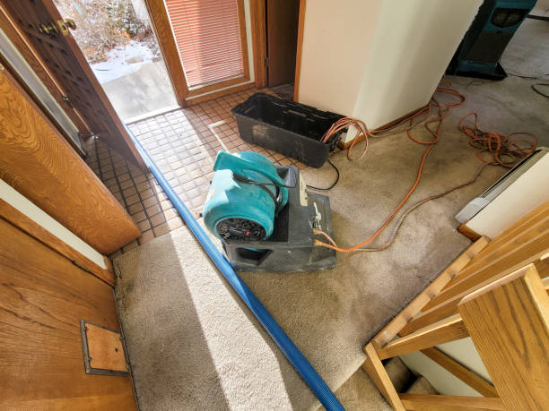 Best 24/7 water damage repair  in Appleton, WI