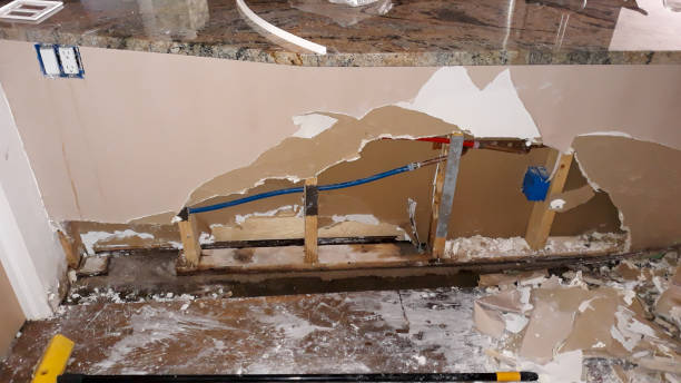 Best Ceiling water damage repair  in Appleton, WI