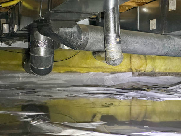 Best Water damage contractors near me  in Appleton, WI