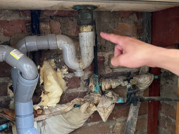 Best Water damage cleanup near me  in Appleton, WI