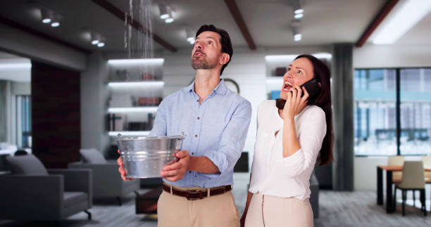 Best 24/7 water damage repair  in Appleton, WI