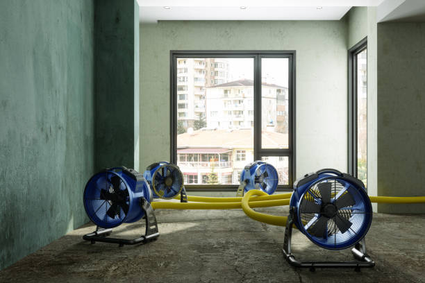 Best Emergency water damage restoration  in Appleton, WI