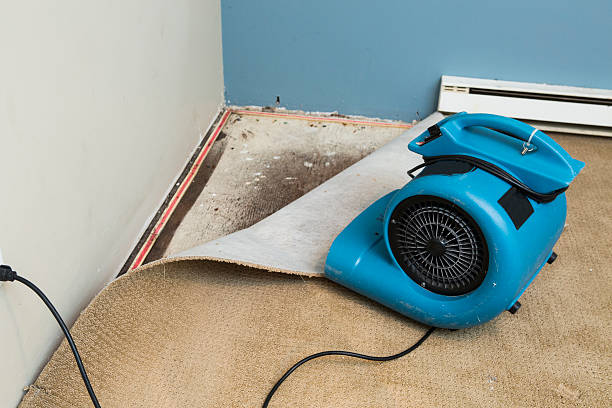 Trusted Appleton, WI Water damage restoration Experts